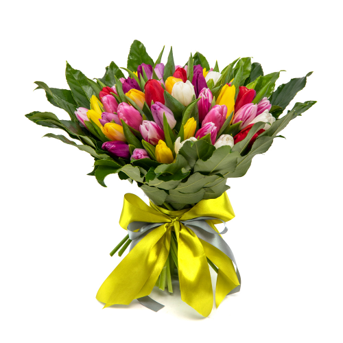 Perla farebné tulipány