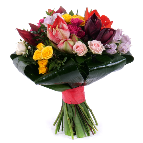 Lady farebné amarylisy a trsové ruže