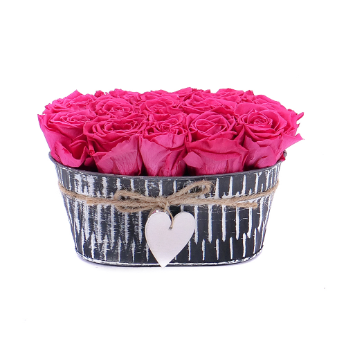 In eterno plechový box ovál 13 ruží pink framboise
