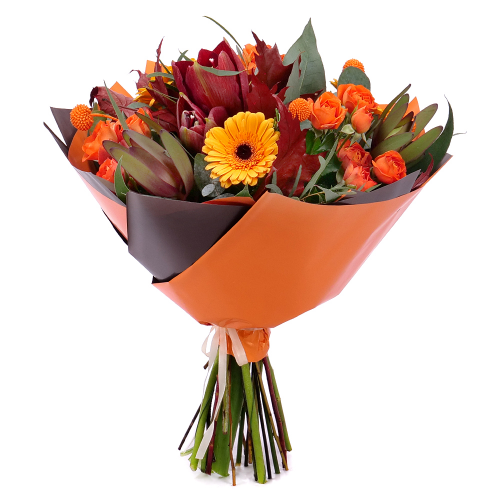 Sweet žlté gerbery a amarylis