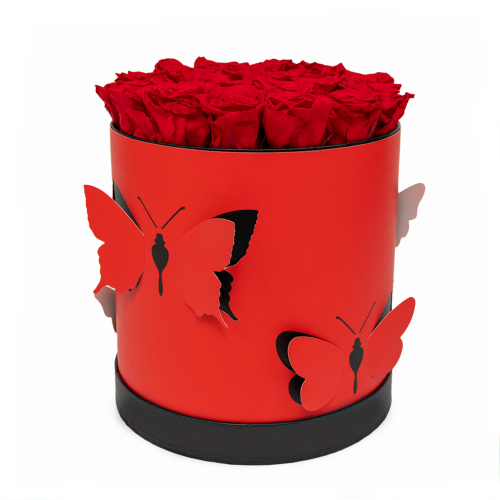 In eterno červený okrúhly box motýle "L" 24 červených ruží