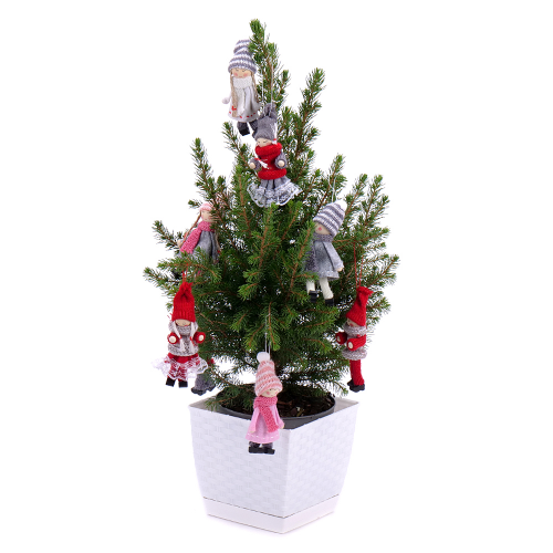 Živý stromček v plastovom obale s ozdobou 2