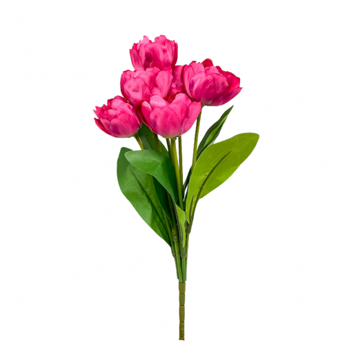Kytica um.tulipán x9