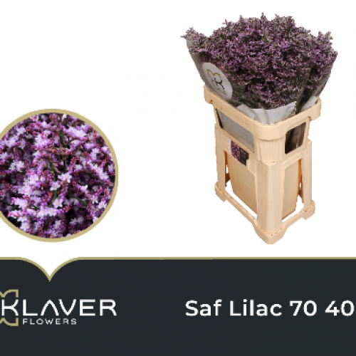 Lim Saf Lilac 70 40