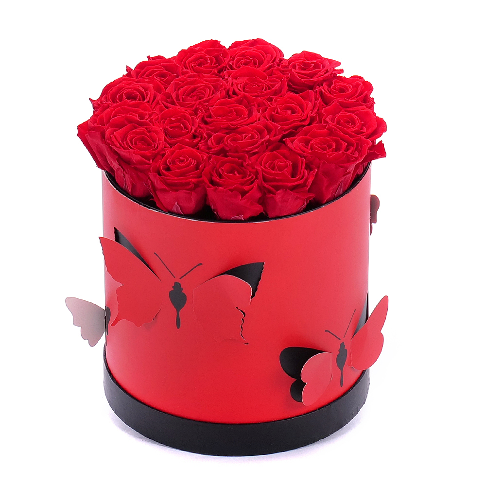 In eterno červený okrúhly box motýle "L" 19 červených ruží